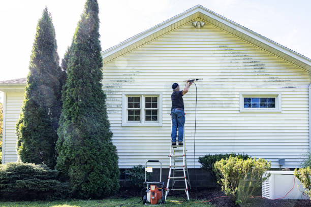 Best Exterior Home Cleaning  in New Market, AL