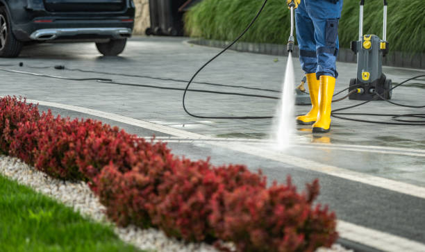 Best Affordable Power Washing  in New Market, AL
